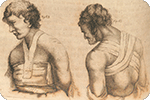Image: Bell, J. (1815). The principles of surgery, as they relate to wounds, ulcers and fistulas ... vol. 1. London : Longman, Hurst, Rees, Orme and Brown. [Detail].
