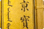 Image: Asian Languages Collection books. [Detail].